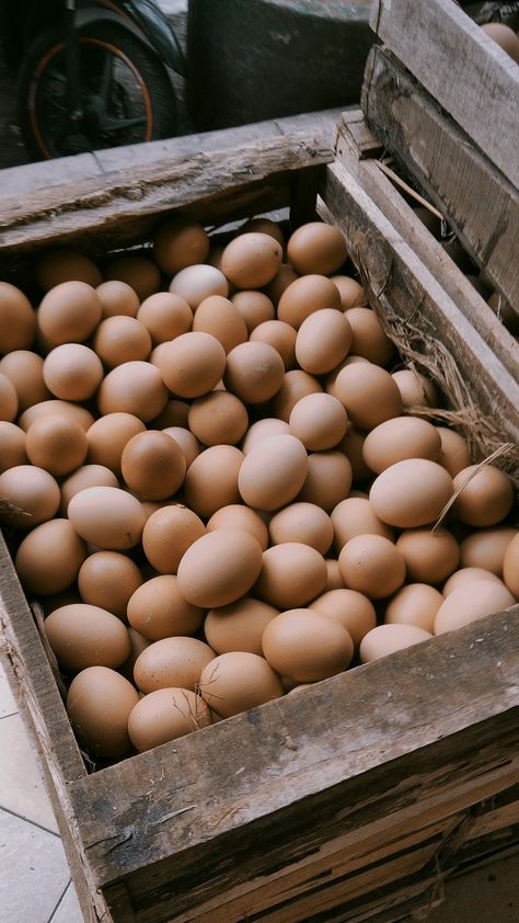 Telur Ayam, Eggs Image, Eid Card Designs, Coop Design, Farm Lifestyle, Organic Eggs, Poultry Farm, Farm Stand, Perfect Body