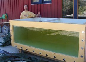 DIY plywood aquarium, 581 Gallons Plywood Aquarium, Pallet Deck Diy, Aquarium Diy, Goldfish Pond, Aquaponics Diy, Wood Plates, Diy Aquarium, Aquarium Stand, Aquarium Ideas