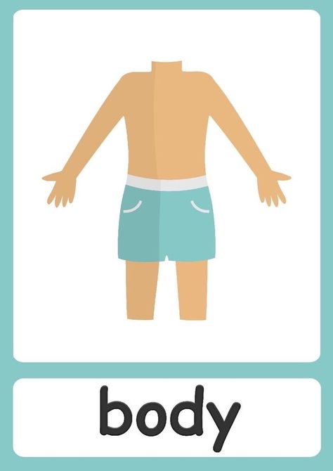 Body Parts Flashcards, Facial