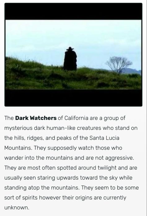 Dark Watchers California, Cryptids Of California, How To Become A Local Cryptid, California Cryptids, Cryptid Stories, Cryptid Oc, Cryptid Aesthetic, Fairy Oc, Oc Story