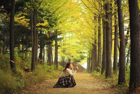 Nami Island Autumn, Fall In Korea, Visit South Korea, Korea Landscape, Autumn In Korea, Korean Photoshoot, Nami Island, Take Photo, Autumn Foliage