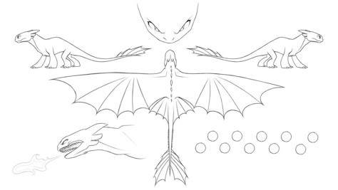 Httyd Base, Toothless Sketch, Toothless Drawing, Dragon Poses, Night Fury Dragon, Dragon Base, Httyd Art, Ref Sheet, Light Fury