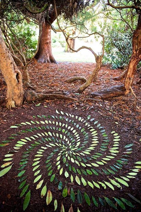 Land Art Ephemeral Art James Brunt Mandalas Mandala Stones Nature Mandala, Ephemeral Art, Steam Projects, Art Pierre, Earth Art, Foto Tips, Mandala Stones, Zoology, Nature Crafts