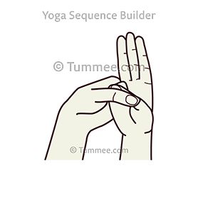 Liver Issues, Opposite Words, Hand Gesture, Teacher Signs, Fluid Retention, Fire Element, Types Of Yoga, Runny Nose, Water Element