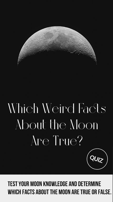 Math Trivia Fun Facts, Fun Facts About Planets, Moon Facts Science, Moon Facts In Hindi, Moon Facts, Moon On The Water, Trivia Quizzes, General Knowledge, Dark Side