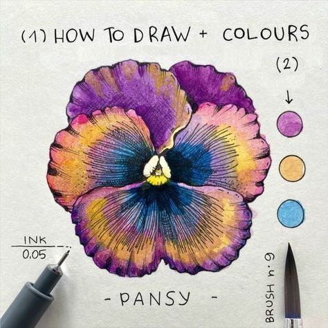 Watercolor Pencil Art, Botanical Line Drawing, Colored Pencil Tutorial, Flower Drawing Tutorials, Flower Art Drawing, Caran D'ache, Floral Drawing, Pansies Flowers, Watercolor Flower Art