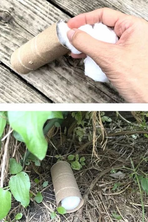 Easy Homemade Natural Tick Killer for your garden, lawn or backyard. Enjoy your outdoor space and protect your dog and yourself from backyard ticks. #gardendiy Tick Tubes, Pothos In Water, Wood Tick, Get Rid Of Ticks, Homemade Bug Spray, Bug Spray Recipe, Tick Spray, Ohio House, Tick Repellent