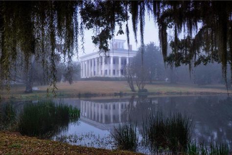 Antebellum Decor, Old Southern Plantations, Louisiana Photography, Louisiana Plantations, Antebellum South, Louisiana Bayou, Southern Architecture, Southern Plantations, Antebellum Homes