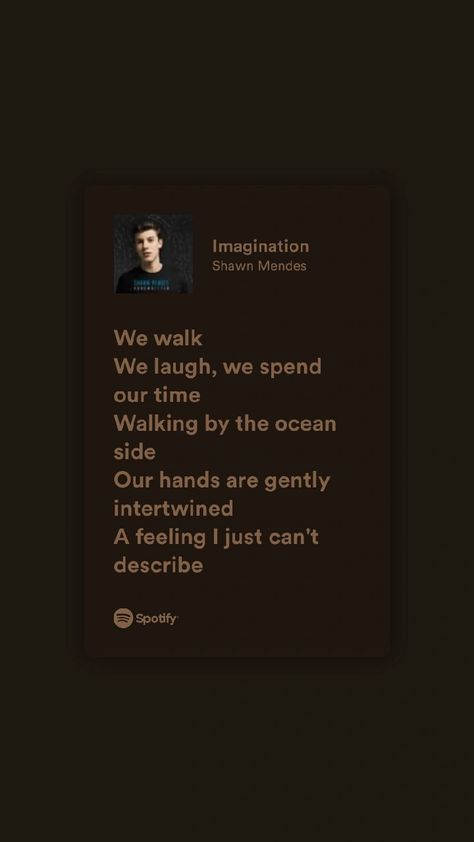 Imagination Shawn Mendes Lyrics, Imagination Shawn Mendes, Shawn Mendes Song Lyrics, Love Lyrics Quotes, Music Is My Medicine, Shawn Mendes Songs, Everyday Princess, Shawn Mendes Lyrics, Shawn Mendes Funny