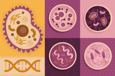 Cell Vectors, Photos and PSD files | Free Download Future Technology Concept, Science Equipment, Science Words, Biology Art, Science Illustration, Human Body Parts, Technology Background, Hexagon Pattern, Scientific Illustration