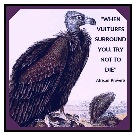 When vultures surround you, try not to die. African proverb. African Proverbs Wisdom, Funny African Proverbs, African Sayings, Machiavelli Quotes, Ancient Proverbs, Valuable Quotes, Mobile Code, Life Quotes Relationships, Life Proverbs