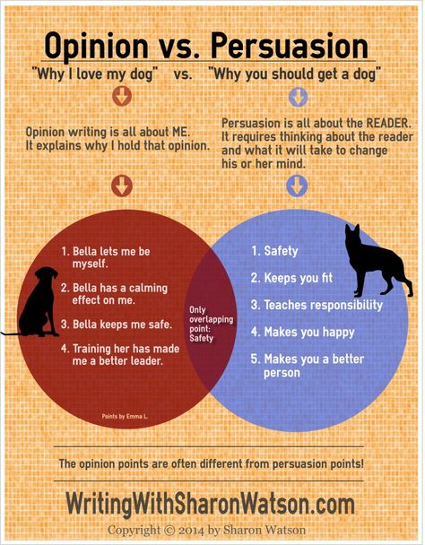 The difference between opinion and persuasion- a great writing lesson (and others at this site!) Persuasive Texts, Writing Tricks, Activities For High School Students, Argument Writing, Homeschooling Middle School, Persuasive Text, Writing A Persuasive Essay, Activities For High School, 5th Grade Writing