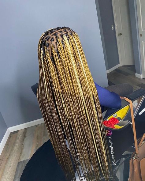 Honey Blonde Box Braids With Curly Ends, Mixed Colour Braids, Mixed Color Braids, Braids Hairstyles For Black Women, Color Braids, Sleek Braid, Colored Braids, Blonde Braids, Cute Box Braids Hairstyles