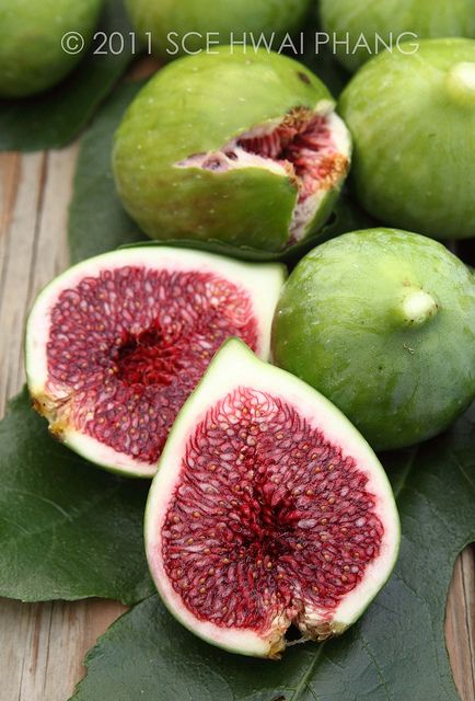 Figs, never seen this fruit, u can`t find it in a tropical country Juice Menu, Green Fig, Fruit Photography, Beautiful Fruits, Exotic Fruit, Tropical Fruits, Fig Tree, Healthy Fruits, Delicious Fruit