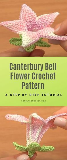 Canterbury Bell Flower Crochet pattern popularcrochet.com #popularcrochet #crochet #canterburybell #flowercrochet #freecrochetpattern Bell Flower Crochet, Mini Crochet Flowers, Crochet Basic Stitches, Hexagon Crochet Pattern, Flower Crochet Pattern, Crochet Bell, Crochet Angel, Popular Crochet, Making A Bouquet