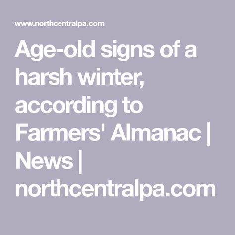 Farmers Almanac 2024, Weather Folklore, Garden Winter Prep, Woolly Bear, Garden Winter, Daily List, Hornets Nest, Weather Predictions, Farmers Almanac