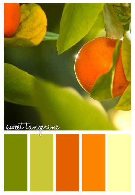 laundry room?  Gorgeous greens and tangerines via Colorways ~ Colour Palettes. Color Concept, Orange Color Palettes, Color Schemes Colour Palettes, Color Palate, Design Seeds, Color Balance, Orange And Green, Colour Palettes, Colour Schemes