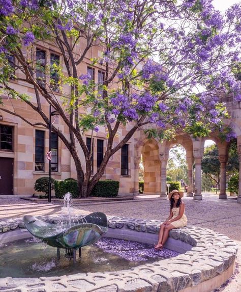 The university of Queensland.         ✿ ❀ ❁✿ For more great pins go to @KaseyBelleFox University Of Queensland Aesthetic, Transport Aesthetic, Modern Academia, 2024 Energy, University Of Queensland, Australia Brisbane, 2024 Moodboard, Life Vision Board, Fantasy Photography