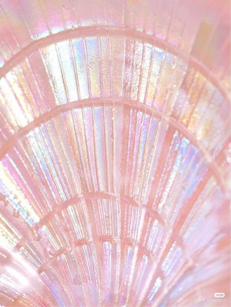 I will be using this as a wallpaper for my tablet. Iridescent Wallpaper, Shell Wallpaper, Inspo Wallpaper, Wardrobe Needs, Color Of The Year, Instagram Shop, Close Up, The Year, Romance