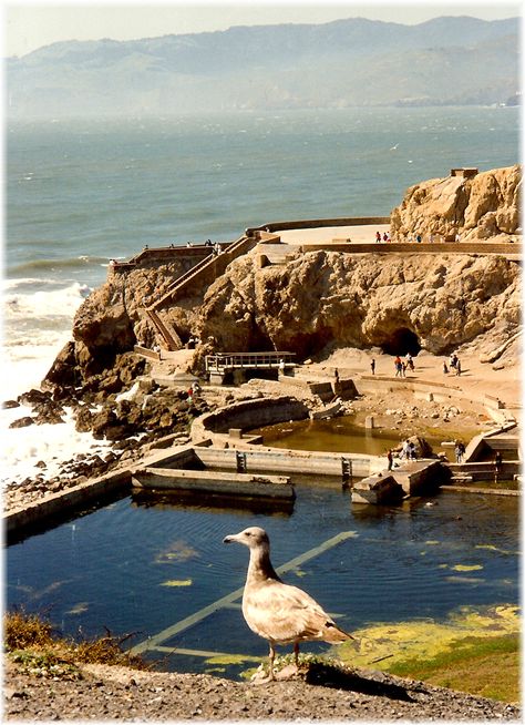 Cliff House San Francisco, Sutro Baths San Francisco, Architecture Pictures, San Francisco At Night, Derelict Places, Sutro Baths, San Francisco Photos, San Francisco Golden Gate Bridge, Places In California