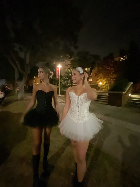 Black And White Swan Costume Aesthetic, Barbie Swan Lake Halloween Costume, Swan Princess Halloween Costume, The Black Swan Halloween Costume, Dark And Light Swan Costume, Black And White Swam Halloween, White Swan And Black Swan Halloween, Black Swan Costume Ideas, Swan Queen Costume