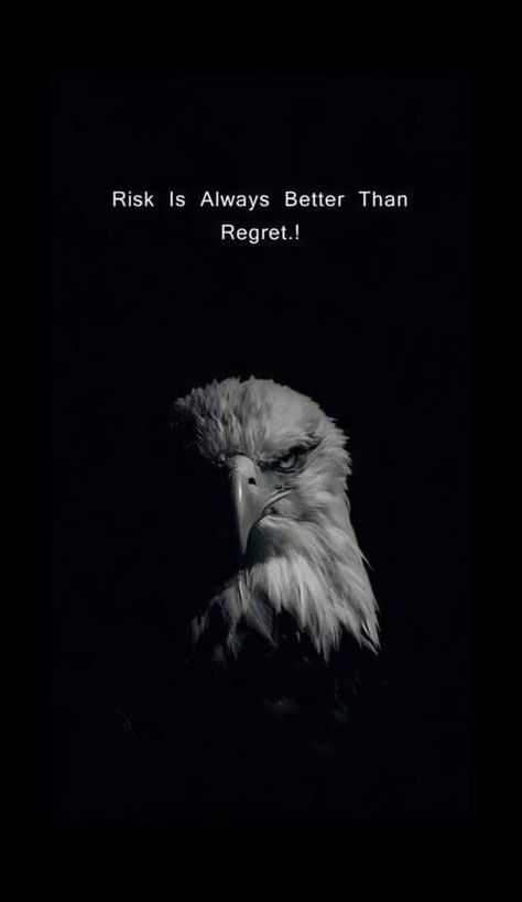 Eagle Quotes Inspiration Life, Attitude Quotes In Tamil, Attitude Sketch, Hawk Quotes, Risk Is Better Than Regret, Eagle Quotes, Creepy Clown Pictures, Eagles Quotes, Risk Quotes