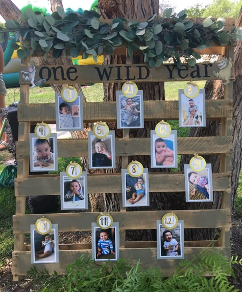 One Year Safari Birthday, Pallet Picture Display 1st Birthday, Cute Anniversary Ideas, Birthday Party Souvenirs, Lion King Birthday Party Ideas, Baby Shower Food For Girl, Halloween Themed Birthday Party, Animal Baby Shower Theme, Boys 1st Birthday Party Ideas