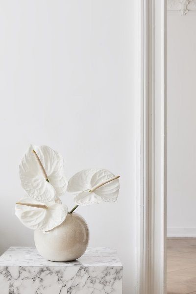 Peace Light, Alvar Aalto, Arte Floral, White Aesthetic, Ikebana, Cool Ideas, Flower Arrangement, Abstract Print, Abstract Wall Art