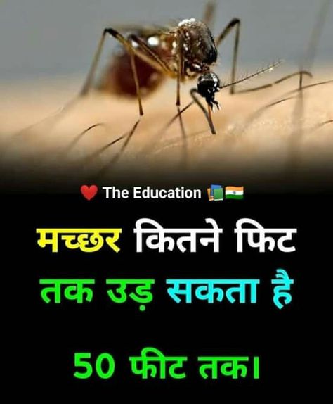 Top 3 Facts, Gk Question In Hindi, Youtube Facts, Facts For Students, Fun Facts About Life, Interesting Science Facts, Interesting Facts In Hindi, Biology Facts, Facts About World