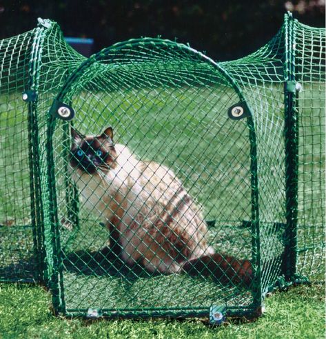 T-Connect Outdoor Pet Playpen Cat Jungle Gym, Outdoor Pet Enclosure, Pet Playpens, Cat Playpen, Cat Crate, Cat Patio, Outdoor Cat Enclosure, Pet Enclosure, Outdoor Cat House