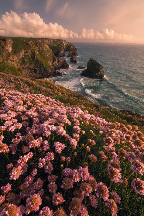 T Wallpaper, Wallpaper Estetika, Image Nature, Landscape Designs, Pretty Landscapes, Spring Aesthetic, Alam Yang Indah, Nature Aesthetic, Big Sur