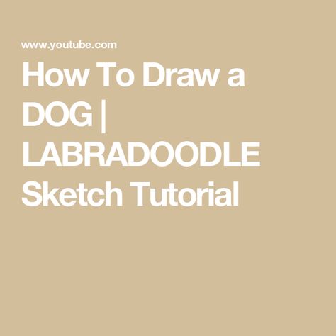 How To Draw a DOG | LABRADOODLE Sketch Tutorial Labradoodle Drawing, Labradoodle Art, Draw A Dog, Labradoodle Dog, Sketch Tutorial, Youtube Drawing, Labradoodle Dogs, Art To Make, Sketches Tutorial