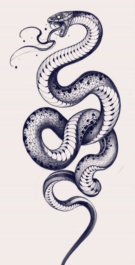 Black Snake Tattoo Design, Snake Drawing Tattoo, Snake Tattoo Drawing, Snake Tattoo Sketch, Snake Tattoo Stencil, Cobra Tattoo Design, Snake Draw, Snake Drawings, Black Snake Tattoo