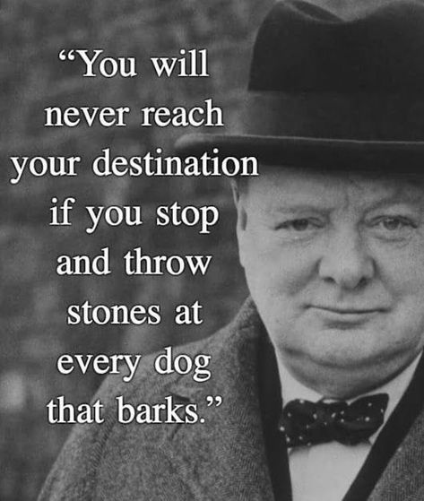 Winston Churchill Quotes, Motivation Positive, Pack Leader, Winston Churchill, Nfl Players, Cleveland Browns, Quotable Quotes, Stay Focused, A Quote