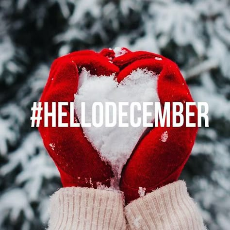 Hello December Winter Snow Heart Quote december december quotes hello december happy december welcome december hello december quotes december quote welcome december quotes first day of december quotes Hello December Quotes, Hello December Images, December Images, December Pictures, Neuer Monat, Welcome December, December Quotes, December Wallpaper, First Day Of Winter