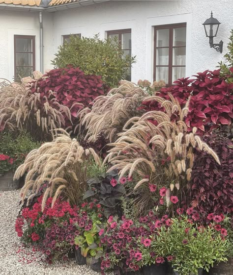 Red Petunias, Dream Garden Backyards, Front Garden Landscape, Chicken Garden, Grasses Landscaping, Pick A Color, Planting Design, Front Landscaping, Shades Of Burgundy