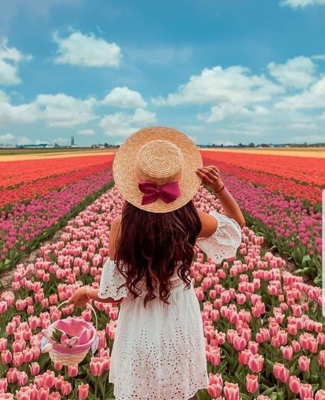 Spring Picture Ideas, Carlsbad Flower Fields, Amsterdam Photos, Spring Photoshoot, Flower Photoshoot, Tulip Festival, Tulips Garden, Farm Photo, Tulip Fields