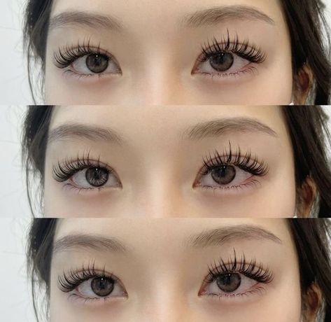 Eyelash Extensions On Monolids, Korean Lash Extensions, Lashes Aesthetic, Elegance Hair, Natural Fake Eyelashes, Bentuk Alis, Lashes Fake Eyelashes, Hair Play, Lash Extensions Styles