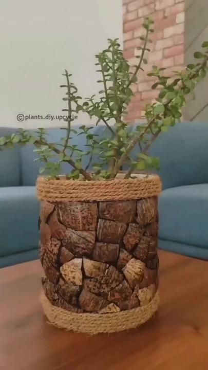 Coconut Shell Crafts, Upcycle Diy, Plants Diy, Diy Planter, Coconut Shells, Plant Pot Diy, Flower Pot Design, Fleurs Diy, Upcycled Bag