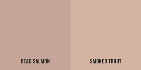 Dead Salmon Farrow And Ball, Dead Salmon, Red Sandstone, Smoked Trout, Farrow And Ball, Farrow Ball, Paint Colors, New Homes, Google Search