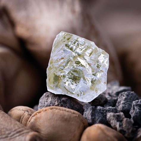 Expensive Diamond, Diamond Mines, Ethical Jewelry, Minerals And Gemstones, Rocks And Gems, Rough Diamond, Gems And Minerals, Botswana, Crystals Minerals