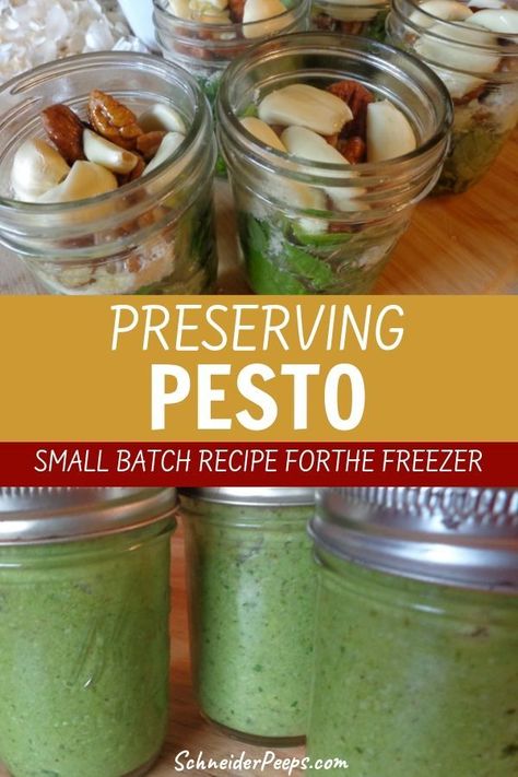 Pesto For Canning, Freezing Pesto How To, How To Freeze Pesto Sauce, How To Make Pesto With Basil To Freeze, How To Can Pesto, Small Batch Pesto, How To Freeze Pesto, Basil Preserving, Canned Pesto Recipe