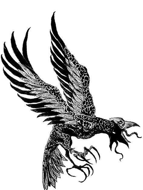 Raven Tattoo, Skin Art, Tatting, Tattoos, Skin, Quick Saves, Art