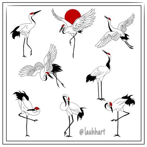 Red Crowned Crane Tattoo, Crane Tattoo Japanese, Crane Back Tattoo, Crane Tattoo Design, Japanese Flash Tattoo, Japanese Crane Tattoo, Crane Drawing, Heron Tattoo, Japanese Cranes