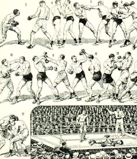 1936 French print Vintage boxing print Vintage boxing poster boxing gift Sports poster Gift for men #boxing #boxing #poster Vintage Boxing Posters, Illustration Botanique Vintage, Boxing Techniques, Vintage Boxer, Vintage Boxing, Boxing Posters, Sports Poster, Abc Poster, Deco Nature