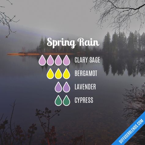 Spring Rain blend Lavender Oil Benefits, Essential Oils Diffuser Blends, Essential Oil Diffuser Blends Recipes, Essential Oils Diffuser, Essential Oil Diffuser Recipes, Oil Diffuser Recipes, Essential Oil Mixes, Yl Essential Oils, Diy Kosmetik