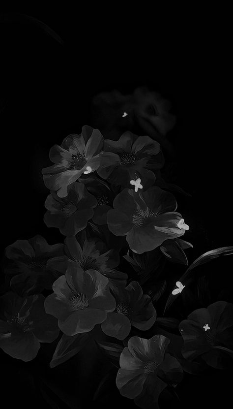 Black Walpaper Astetic, Black Astetic Background Widget, Black Flower Aesthetic Wallpaper, Flower Initial Wallpaper, Black Flowers Aesthetic Wallpaper, Black Aesthetic Wallpaper Homescreen, Black Wallpaper Flower, Black Homescreen Wallpaper, Black Flowers Aesthetic