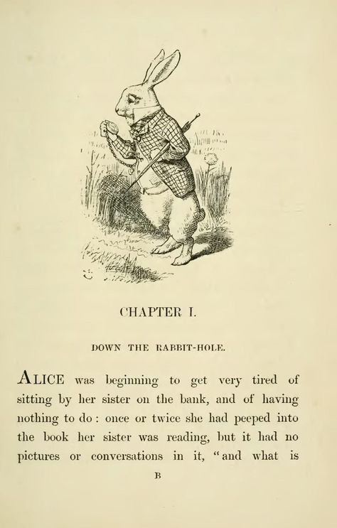 Page:Lewis Carroll - Alice's Adventures in Wonderland.djvu/21 - Wikisource, the free online library Den Den, Alice In Wonderland Illustrations, Animal Inspiration, Alice In Wonderland Book, Wonder Land, John Tenniel, Alice's Adventures In Wonderland, Living Books, Old Book Pages