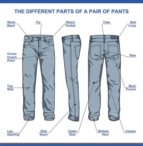 25 Different Types of Pants for Women and Men (Epic List) Anatomy Clothes, Different Types Of Pants, Types Of Trousers, Anatomy Images, Pants Drawing, Flat Sketches, Fashion Vocabulary, Men Trousers, Fashionista Clothes