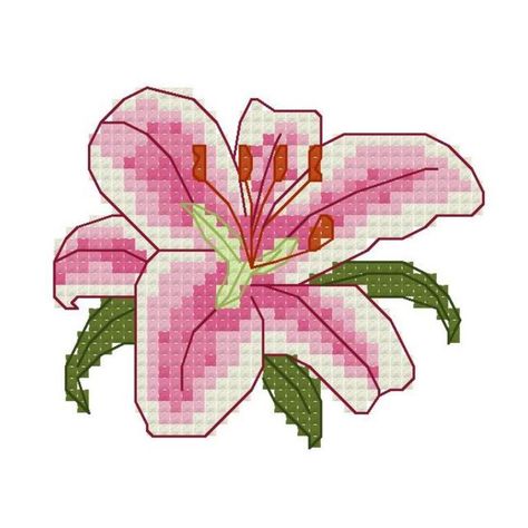 Stargazer Lily Flower Cross Stitch pattern on Craftsy.com Lily Cross Stitch, Red Calla Lily, Flower Cross Stitch Pattern, Flower Cross Stitch, Lilly Flower, Wedding Cross Stitch, Lily Pattern, Flower Cross, Stargazer Lily